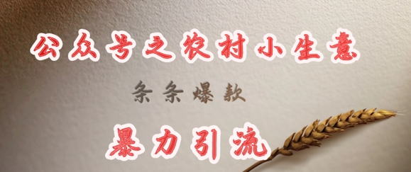 deepseek写农村小项目,条条爆款,暴力引流-第1张图片-我要自学网 deepseek写农村小项目,条条爆款,暴力引流-第1张图片-我要自学网