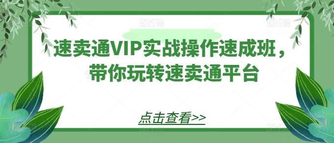 速卖通VIP实战操作速成班，带你玩转速卖通平台-第1张图片-我要自学网