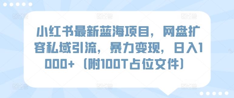 小红书最新蓝海项目,网盘扩容私域引流,暴力变现,日入1000+(附100T占位文件)【揭秘】-第1张图片-我要自学网 小红书最新蓝海项目,网盘扩容私域引流,暴力变现,日入1000+(附100T占位文件)【揭秘】-第1张图片-我要自学网