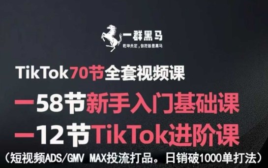 TikTok全套视频课,新手入门+进阶课,短视频ADS-GMV MAX投流打品,日销破1000单打法-第1张图片-我要自学网 TikTok全套视频课,新手入门+进阶课,短视频ADS-GMV MAX投流打品,日销破1000单打法-第1张图片-我要自学网
