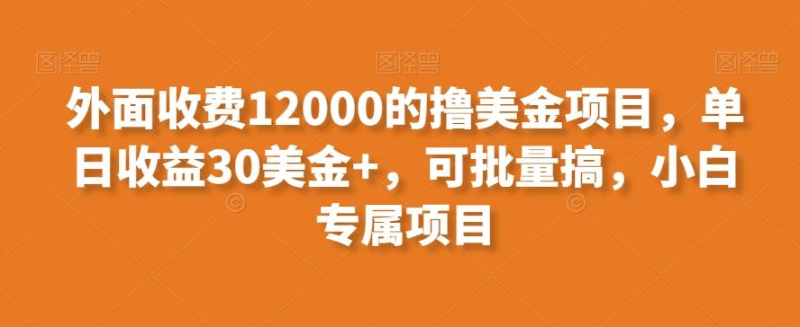 外面收费12000的撸美金项目,单日收益30美金+,可批量搞,小白专属项目-第1张图片-我要自学网 外面收费12000的撸美金项目,单日收益30美金+,可批量搞,小白专属项目-第1张图片-我要自学网