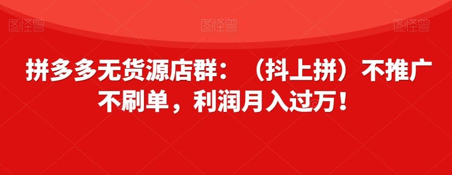 拼多多无货源店群：（抖上拼）不推广不刷单，利润月入过万！【揭秘】-第1张图片-我要自学网
