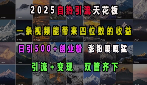 2025自热引流天花板,一条视频能带来四位数的收益,引流+变现双管齐下,日引500+创业粉,涨粉嘎嘎猛-第1张图片-我要自学网 2025自热引流天花板,一条视频能带来四位数的收益,引流+变现双管齐下,日引500+创业粉,涨粉嘎嘎猛-第1张图片-我要自学网