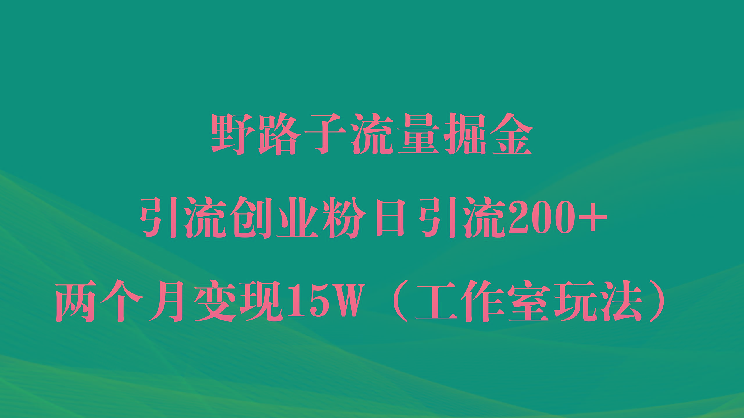 (9513期)野路子流量掘金，引流创业粉日引流200+，两个月变现15W(工作室玩法))-第1张图片-我要自学网