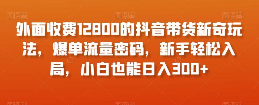 外面收费12800的抖音带货新奇玩法，爆单流量密码，新手轻松入局，小白也能日入300+【揭秘】-第1张图片-我要自学网
