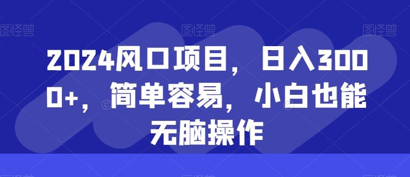 2024风口项目，日入3000+，简单容易，小白也能无脑操作-第1张图片-我要自学网