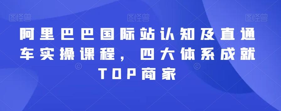 阿里巴巴国际站认知及直通车实操课程,四大体系成就TOP商家-第1张图片-我要自学网 阿里巴巴国际站认知及直通车实操课程,四大体系成就TOP商家-第1张图片-我要自学网