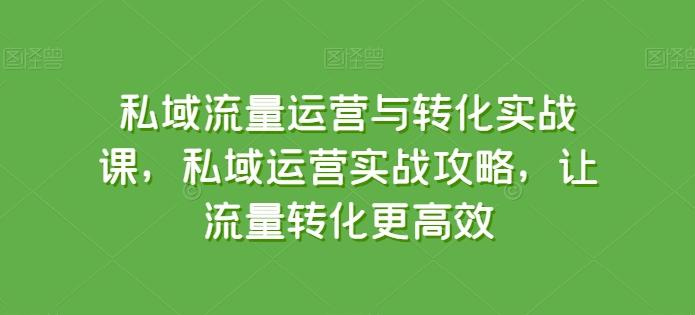 私域流量运营与转化实战课，私域运营实战攻略，让流量转化更高效-第1张图片-我要自学网