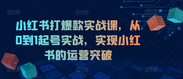 小红书打爆款实战课,从0到1起号实战,实现小红书的运营突破-第1张图片-我要自学网 小红书打爆款实战课,从0到1起号实战,实现小红书的运营突破-第1张图片-我要自学网