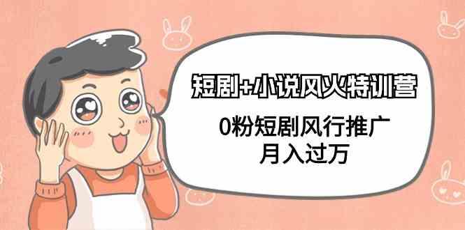 小说+短剧风火特训营，0粉短剧小说风行推广，实现月入过万-第1张图片-我要自学网