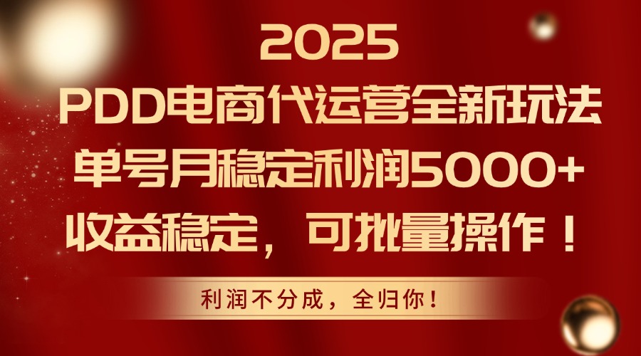2025PDD电商代运营全新玩法，单号月稳定利润5000+，收益稳定，可批量操作-第1张图片-我要自学网