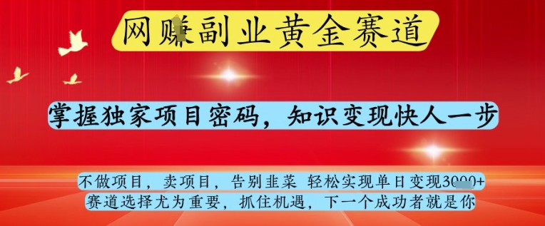 网创副业黄全赛道，掌握独家项目密码，知识变现快人一步，告别韭菜轻松实现单日变现1k+【揭秘】-第1张图片-我要自学网