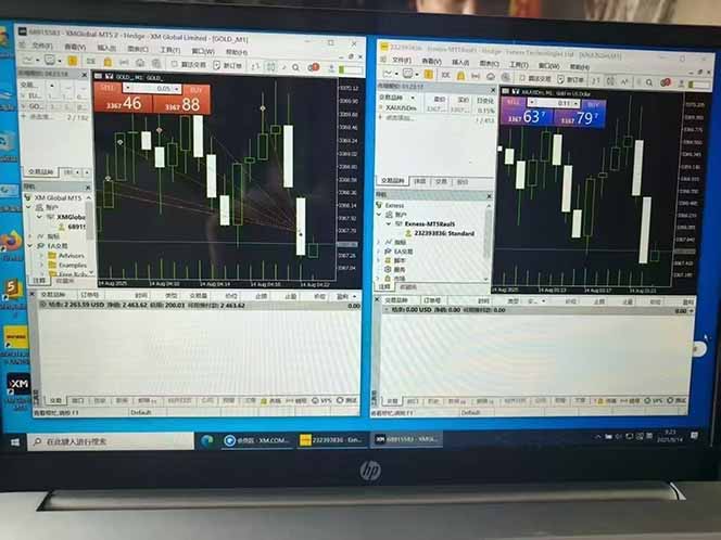 美金对冲创业项目，日收益1000-3000，小众暴力项目稳定运行8年-第6张图片-我要自学网