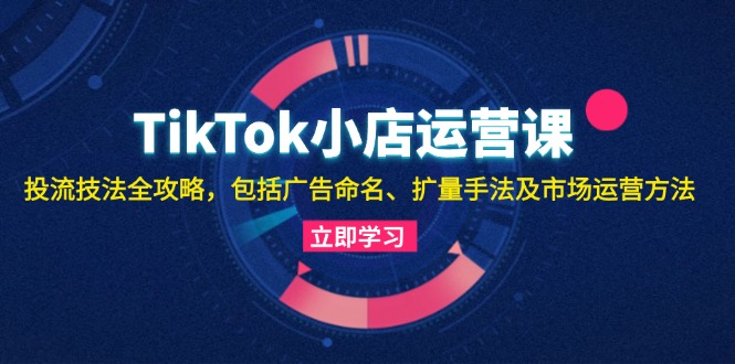 TikTok小店运营课：投流技法全攻略，包括广告命名 扩量手法及市场运营方法-第1张图片-我要自学网