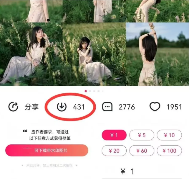 最新图虫搬运项目，收益无上限，利用AI小白也可日赚500+-第2张图片-我要自学网