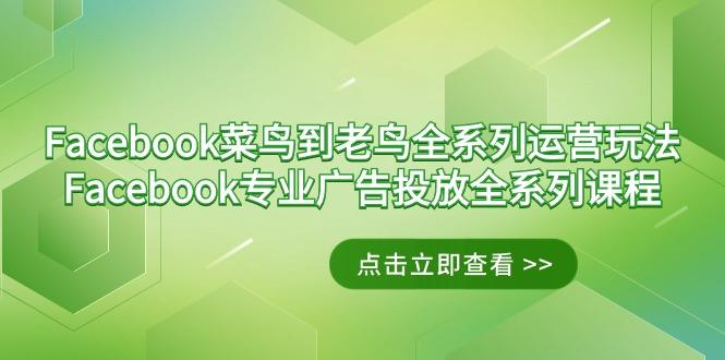 Facebook-菜鸟到老鸟全系列运营玩法+Facebook-专业广告投放全系列课程-第1张图片-我要自学网 Facebook-菜鸟到老鸟全系列运营玩法+Facebook-专业广告投放全系列课程-第1张图片-我要自学网