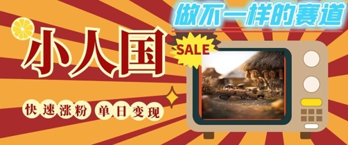 DeepSeek+绘图+视频制作小人国微观视频，小白轻轻松松上手，条条爆款，条条变现，单日就能收益-第1张图片-我要自学网