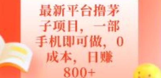 最新平台撸茅子项目，一部手机即可做，0成本，日赚800+-第1张图片-我要自学网