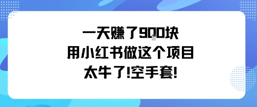 一天挣了9张用小红书做这个项目太牛了,空手套-第1张图片-我要自学网 一天挣了9张用小红书做这个项目太牛了,空手套-第1张图片-我要自学网