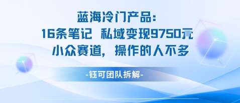 蓝海项目:16条笔记私域变现9750米小众赛道操作的人不多-第1张图片-我要自学网 蓝海项目:16条笔记私域变现9750米小众赛道操作的人不多-第1张图片-我要自学网