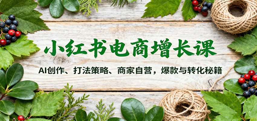 小红书电商增长课：AI创作、打法策略、商家自营，爆款与转化秘籍-第1张图片-我要自学网