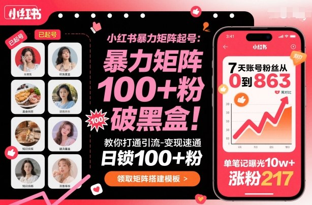 小红书暴力矩阵起号,教你打通引流-变现速通,日锁100+粉,破流量黑盒-第1张图片-我要自学网 小红书暴力矩阵起号,教你打通引流-变现速通,日锁100+粉,破流量黑盒-第1张图片-我要自学网