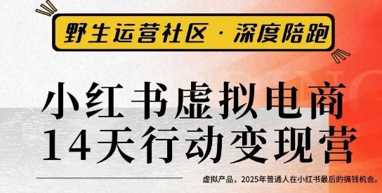 小红书虚拟电商14天变现训练营3.0，​虚拟产品，2025年普通人在小红书最后的搞钱机会-第1张图片-我要自学网