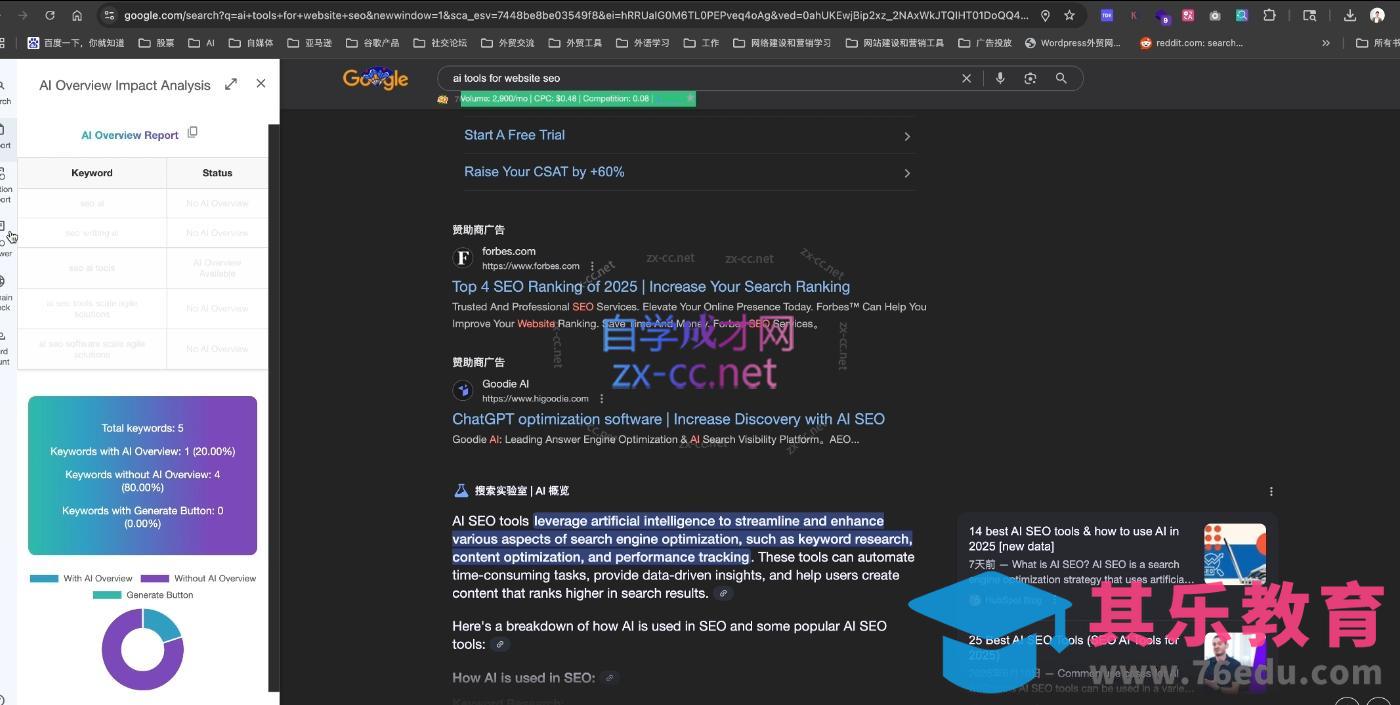 大卫·2025谷歌SEO流量打造课(更新11月)-第2张图片-我要自学网