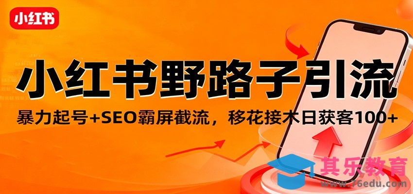 小红书野路子引流，暴力起号+SEO霸屏截流，移花接木日获客100+-第1张图片-我要自学网