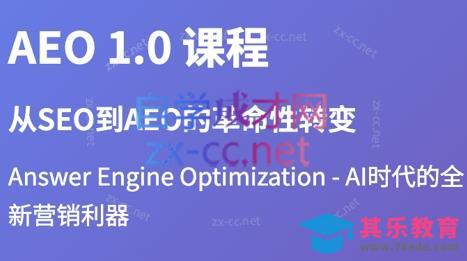 大卫·2025谷歌SEO流量打造课(更新11月)-第1张图片-我要自学网