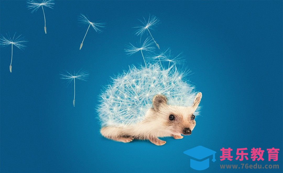 PS-蒲公英刺猬奇趣合成[虎课网最新视频教程][免费高清MP4教程全集 ]-第1张图片-我要自学网