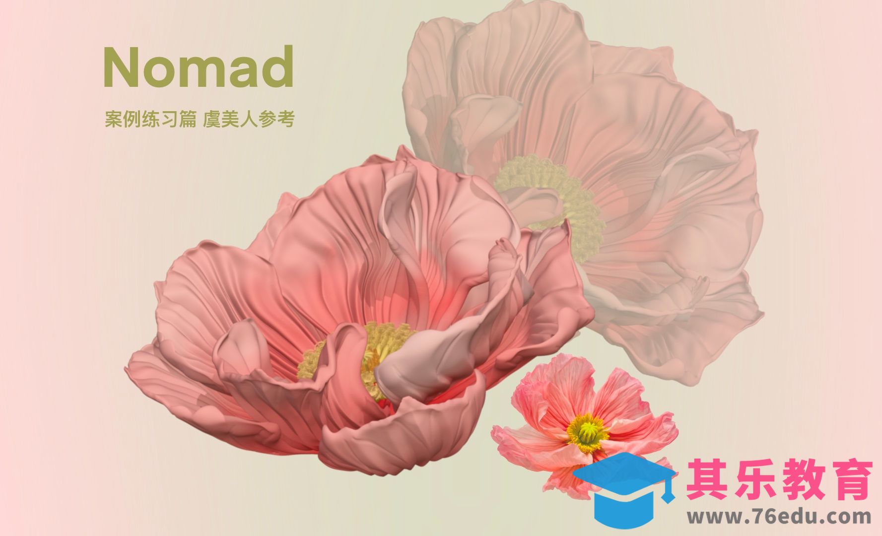 Nomad 虞美人花朵参考教程[虎课网AICG人工智能视频教程][MP4高清全集 ]-第1张图片-我要自学网