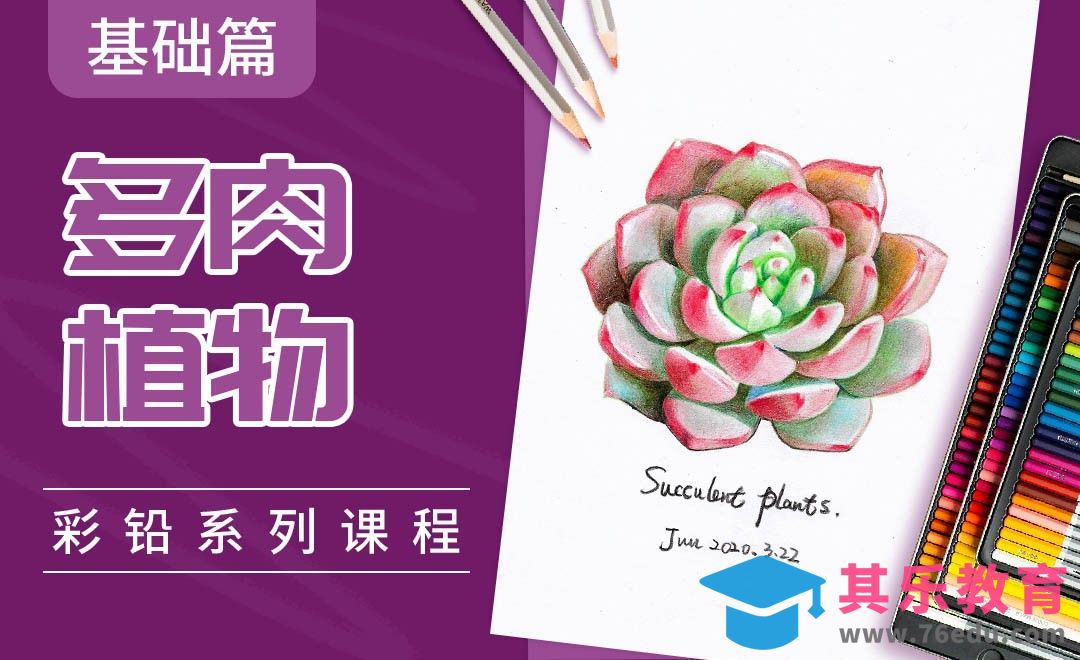 彩铅系列课程基础篇-多肉植物[虎课网绘画插画视频教程][ipad商业插画MP4教程全集 ]-第1张图片-我要自学网