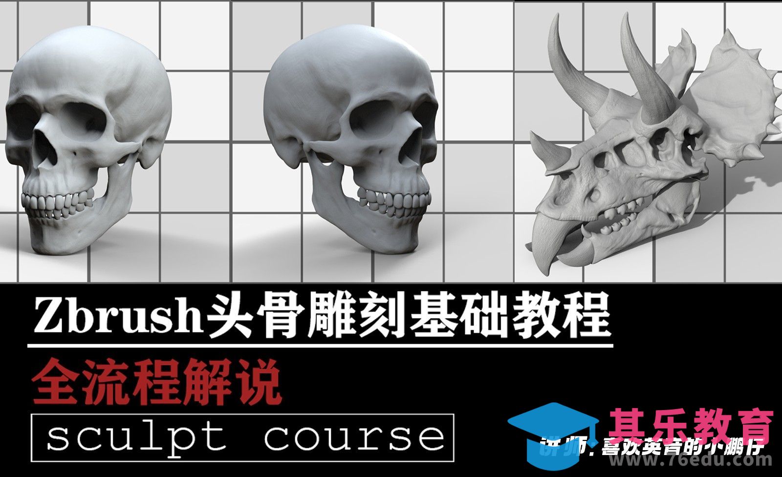 第一节pureref软件头骨结构讲解以及参考图寻找[虎课网AICG人工智能视频教程][MP4高清全集 ]-第1张图片-我要自学网