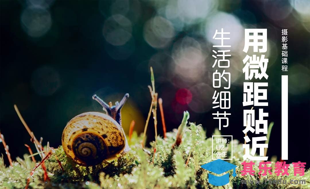 微距摄影-用微距贴近细节[虎课网手机摄影入门视频教程][MP4产品摄影教程全集 ]-第1张图片-我要自学网