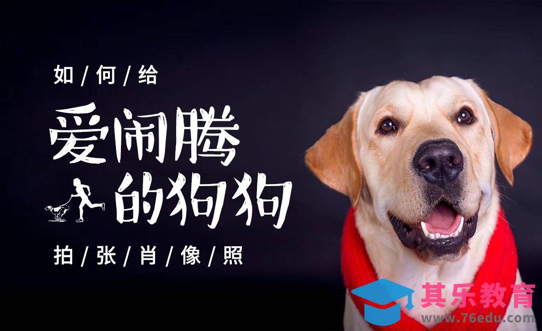 宠物棚拍前期实操课程[虎课网手机摄影入门视频教程][MP4产品摄影教程全集 ]-第1张图片-我要自学网