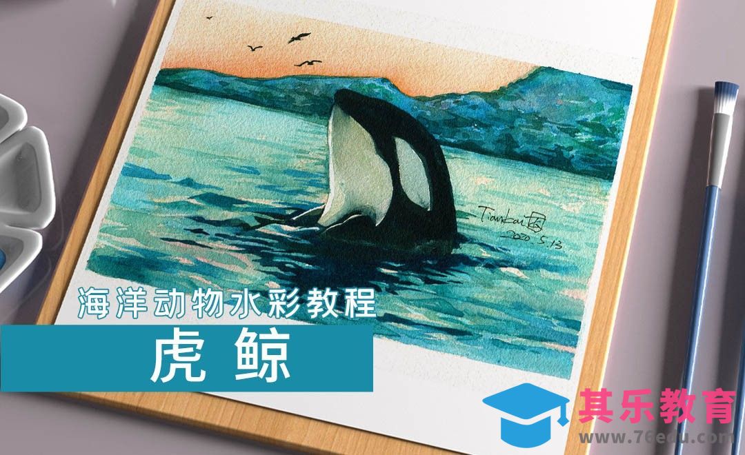 水彩- 海洋动物-虎鲸[虎课网绘画插画视频教程][ipad商业插画MP4教程全集 ]-第1张图片-我要自学网