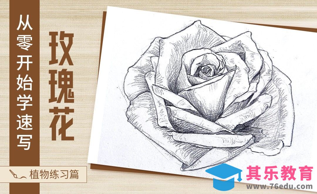 速写-花卉的包裹关系怎么画？[虎课网绘画插画视频教程][ipad商业插画MP4教程全集 ]-第1张图片-我要自学网