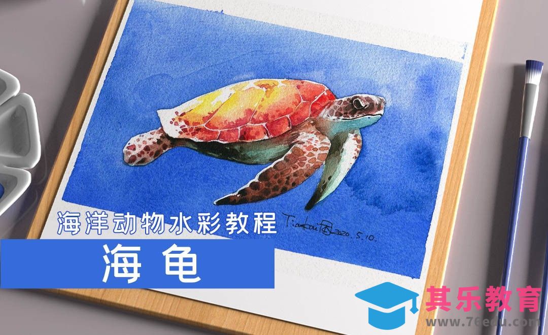 水彩- 海洋动物-海龟[虎课网绘画插画视频教程][ipad商业插画MP4教程全集 ]-第1张图片-我要自学网