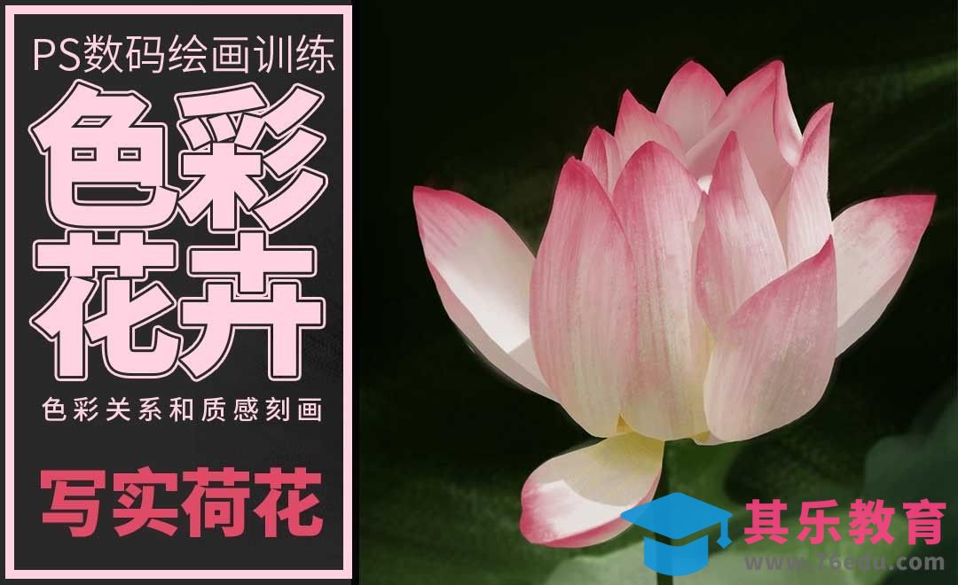 PS-板绘-色彩花卉-荷花-写实版[虎课网绘画插画视频教程][ipad商业插画MP4教程全集 ]-第1张图片-我要自学网