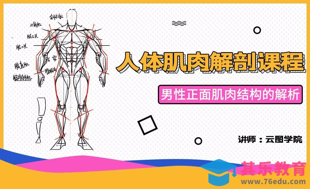 男性正面肌肉结构的解析-人体肌肉解剖课程[虎课网绘画插画视频教程][ipad商业插画MP4教程全集 ]-第1张图片-我要自学网