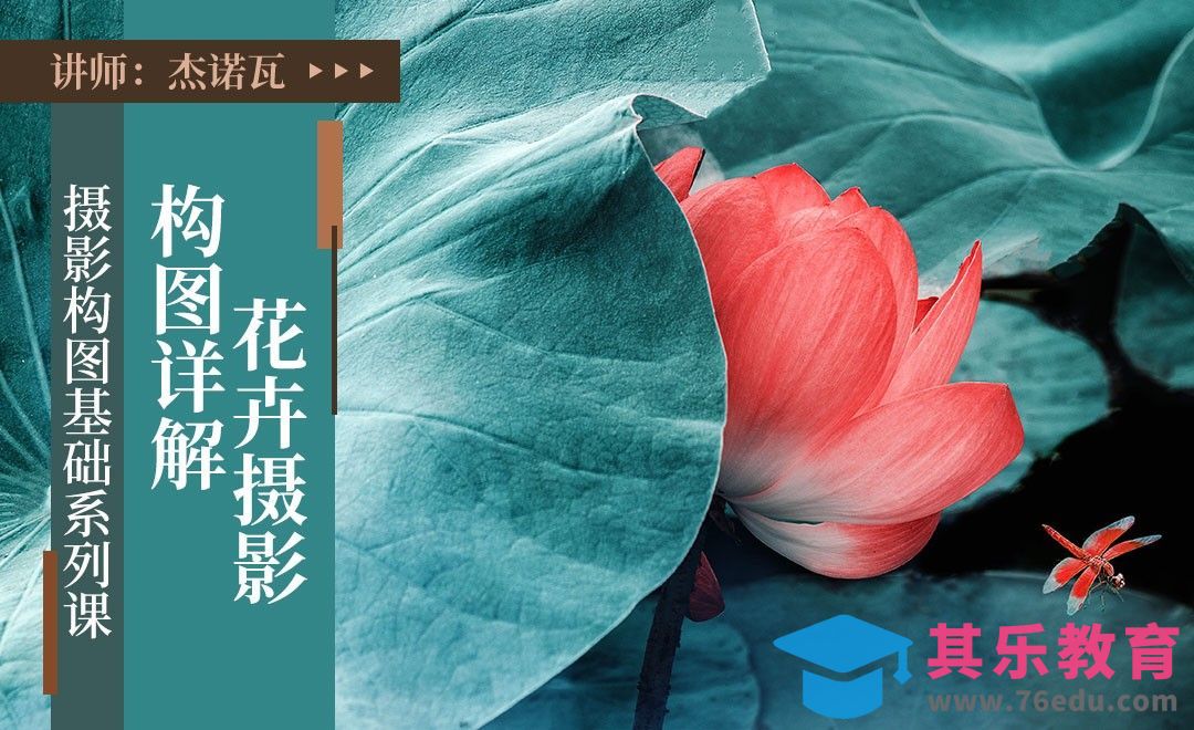 花卉摄影的构图讲解[虎课网手机摄影入门视频教程][MP4产品摄影教程全集 ]-第1张图片-我要自学网