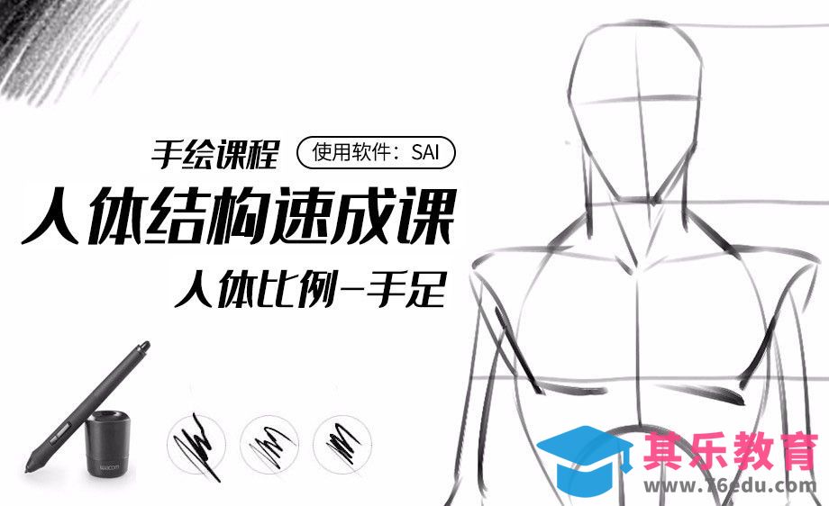 SAI-手足的结构和画法-人体结构速成课[虎课网绘画插画视频教程][ipad商业插画MP4教程全集 ]-第1张图片-我要自学网