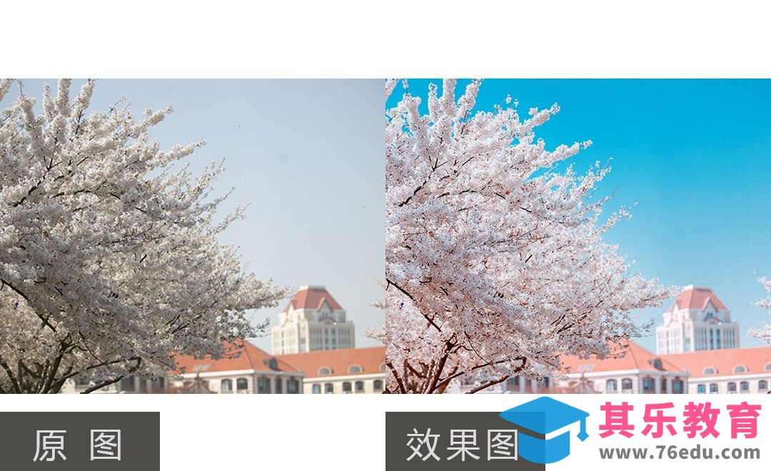 PS-风光唯美樱花后期制作[虎课网手机摄影入门视频教程][MP4产品摄影教程全集 ]-第1张图片-我要自学网