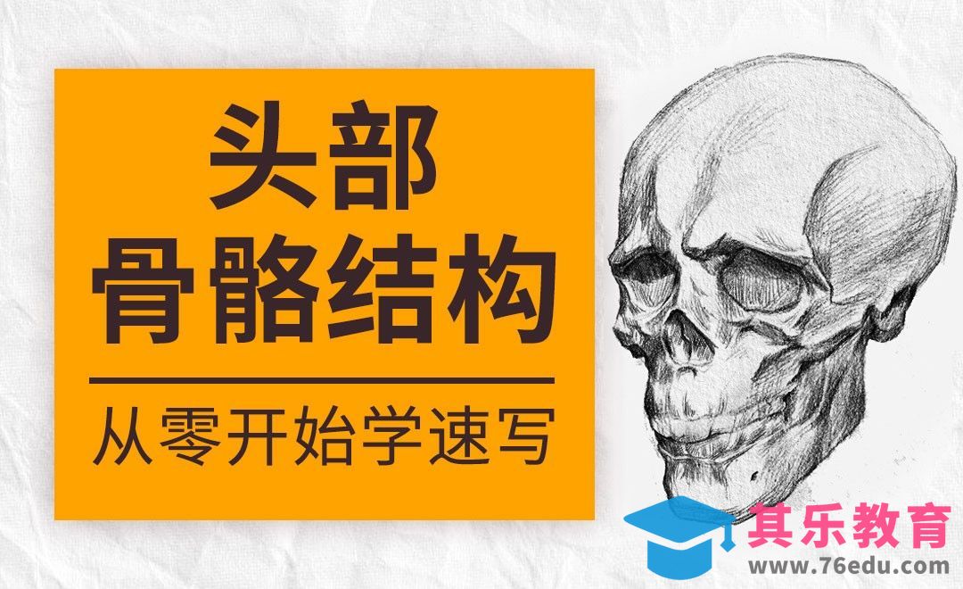 速写系列课程-头部骨骼结构[虎课网绘画插画视频教程][ipad商业插画MP4教程全集 ]-第1张图片-我要自学网
