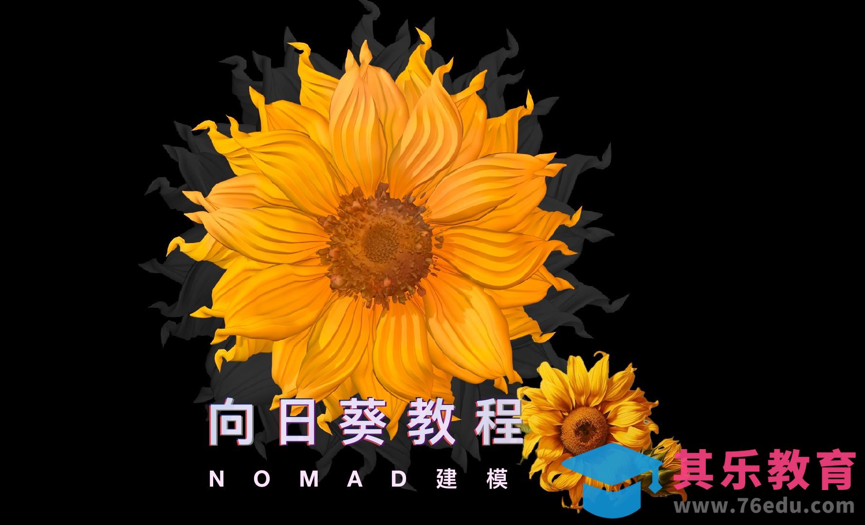 Nomad建模-向日葵教程[虎课网AICG人工智能视频教程][MP4高清全集 ]-第1张图片-我要自学网
