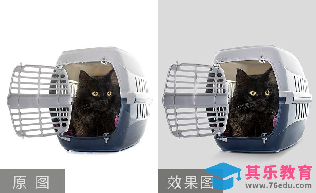 PS-萌宠类宠物便携仓精修[虎课网电商产品精修视频教程][最新PS修图教程全集MP4 ]-第1张图片-我要自学网