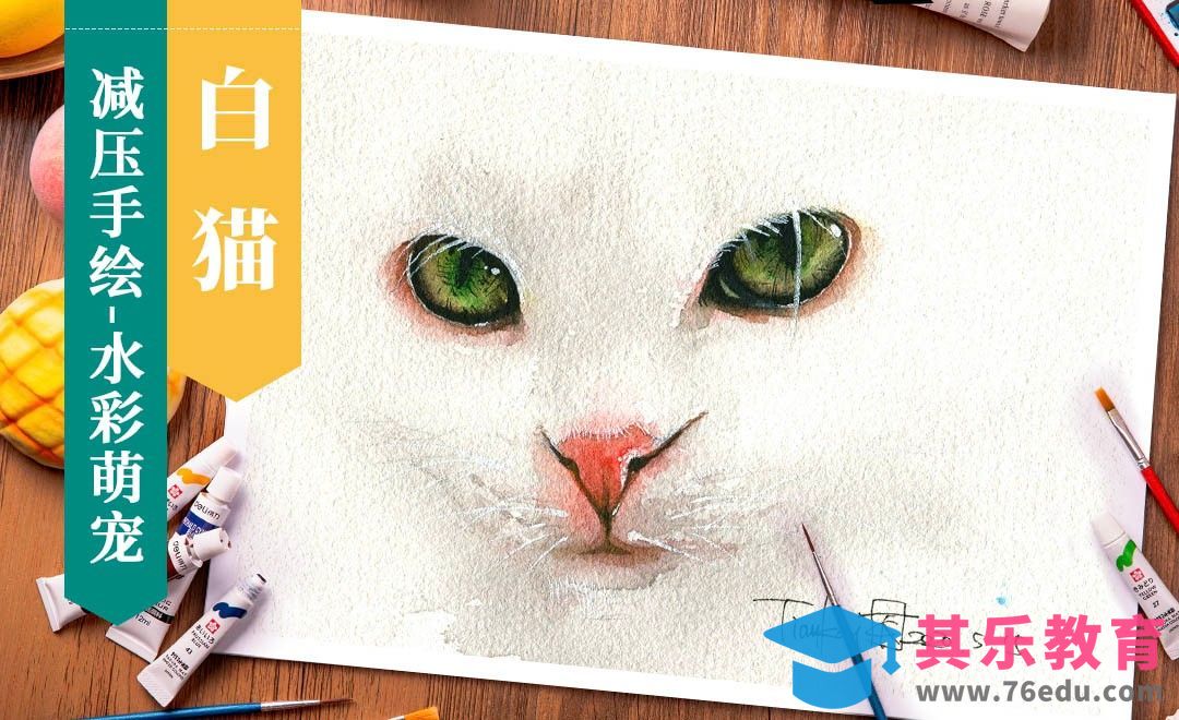 【减压手绘萌宠】水彩-白猫[虎课网绘画插画视频教程][ipad商业插画MP4教程全集 ]-第1张图片-我要自学网