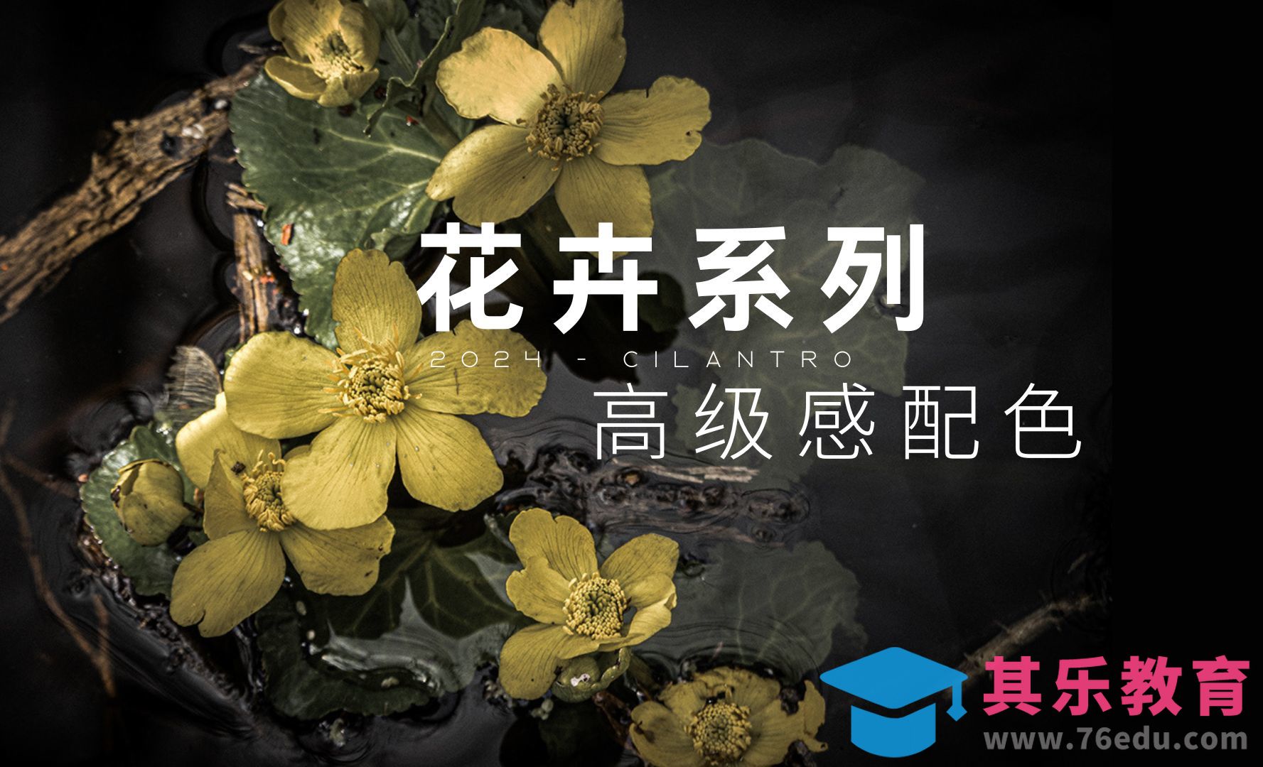 花卉系列高级感配色10-审美提升与配色纯享[虎课网平面设计视频教程][图片排版配色MP4高清全集 ]-第1张图片-我要自学网