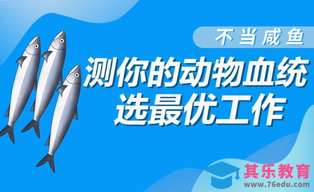 PDP性格测试帮助确定就业方向[虎课网最新视频教程][兴趣生活教程全集MP4 ]-第1张图片-我要自学网